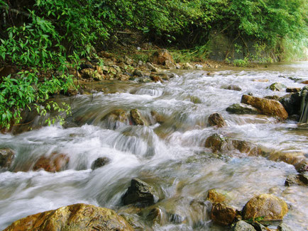 山川酒造の裏に流れる湧き水